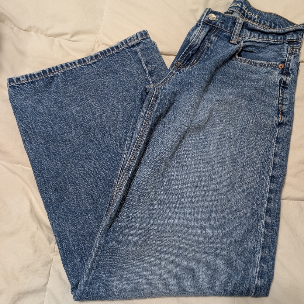 AEO Low Rise Baggy Wide Leg Jeans